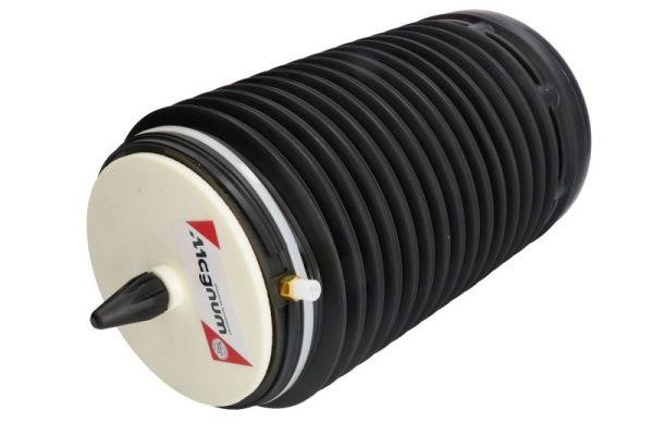 Air suspension Audi: MZA012MT Magnum technology Air Spring, suspension