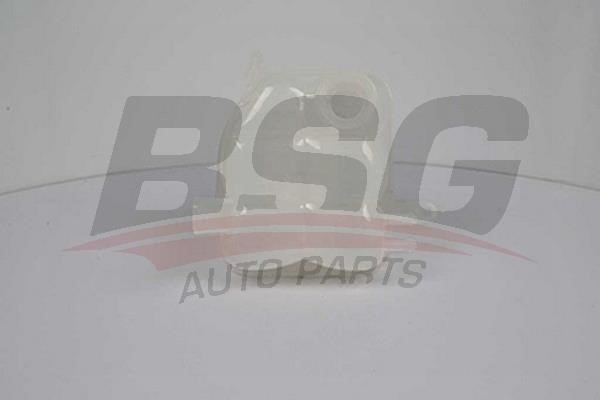 BSG 30-550-003 Expansion Tank, coolant 30550003