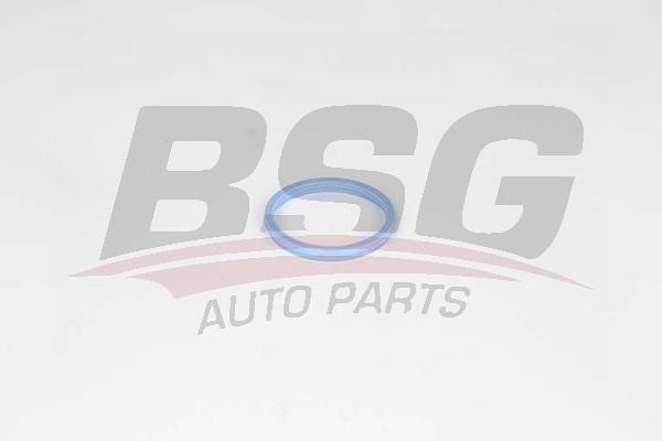 BSG 30-116-034 Intake manifold gaskets, kit 30116034