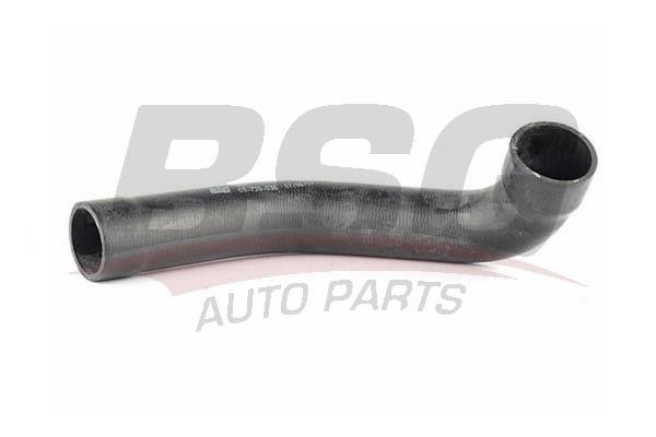 BSG 60-720-038 Intake hose 60720038