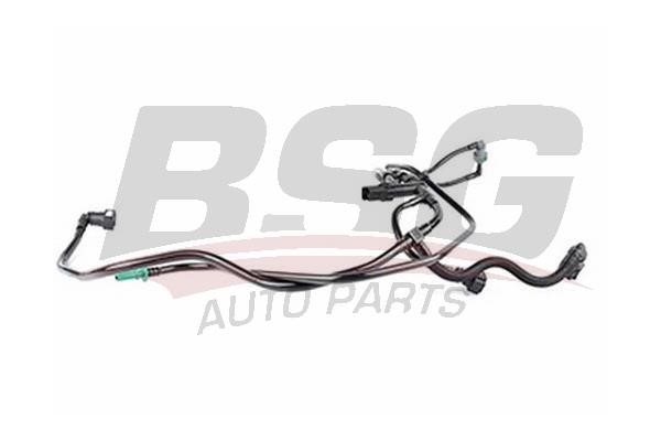 BSG 30-725-079 Hose, fuel system pressure tester 30725079
