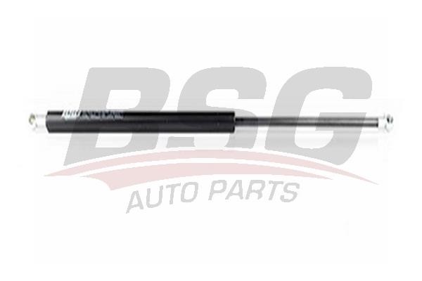 BSG 65-980-023 Gas Spring, boot-/cargo area 65980023