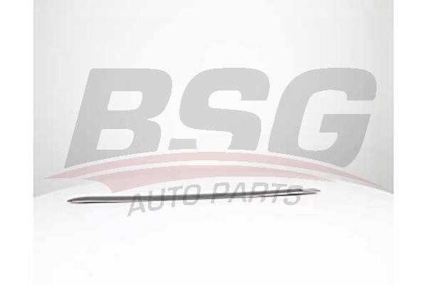 BSG 65-925-038 Trim/Protective Strip, door 65925038