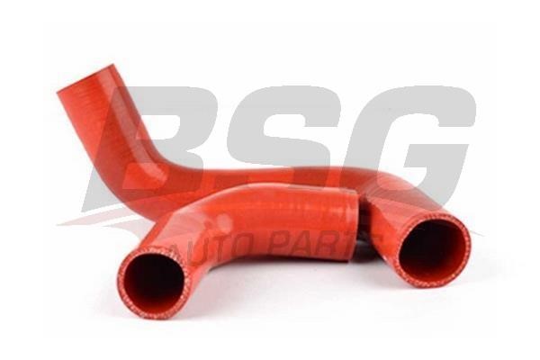 BSG 30-720-181 Intake hose 30720181