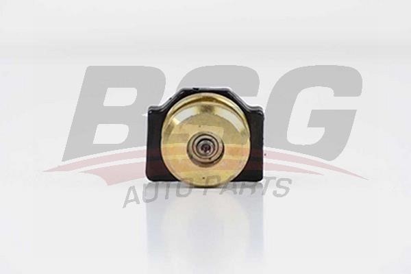 BSG 30-975-012 Roller Guide, sliding door 30975012
