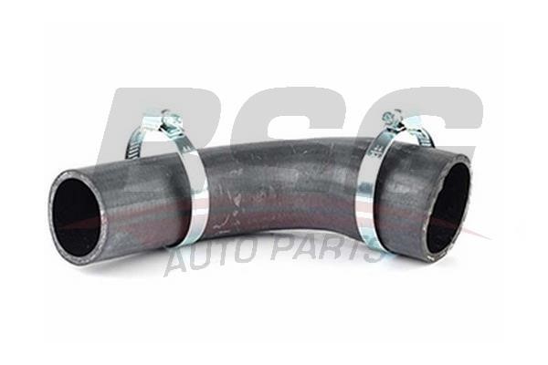 Intake hose BSG 30-720-192