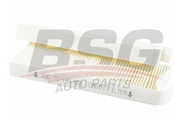 BSG 70-145-001 Filter, interior air 70145001