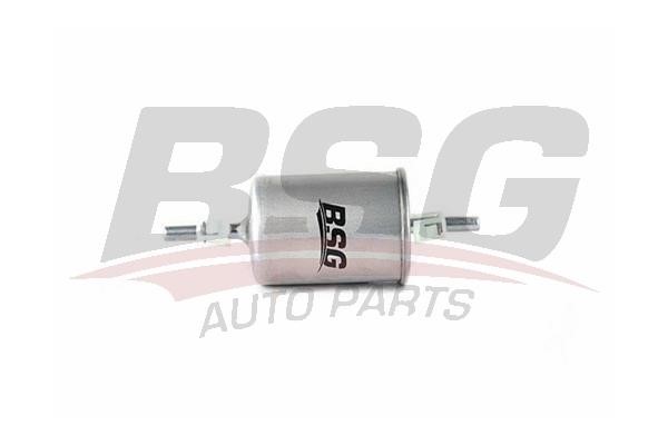 BSG 90-130-007 Fuel filter 90130007