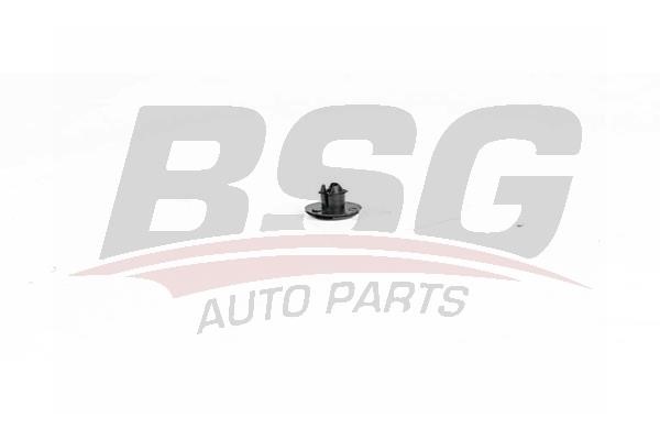 BSG 65-995-018 Clip, bumper 65995018