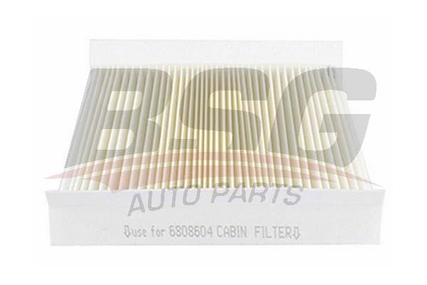 BSG 65-145-006 Filter, interior air 65145006