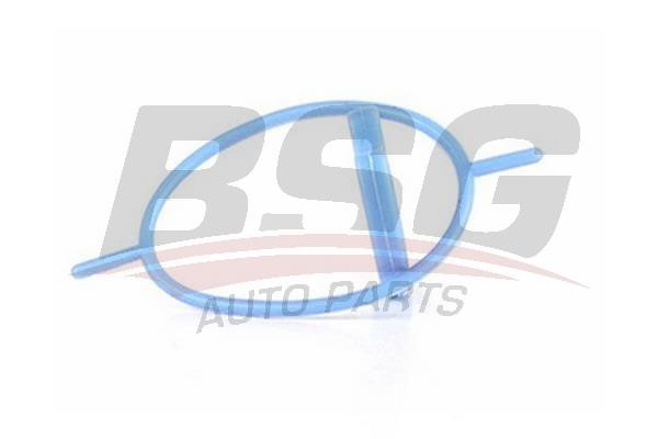 BSG 30-116-084 Repair Set, vacuum pump (braking system) 30116084