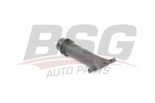 BSG 15-720-096 Coolant Flange 15720096