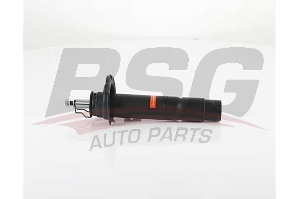 BSG 15-300-030 Front oil and gas suspension shock absorber 15300030