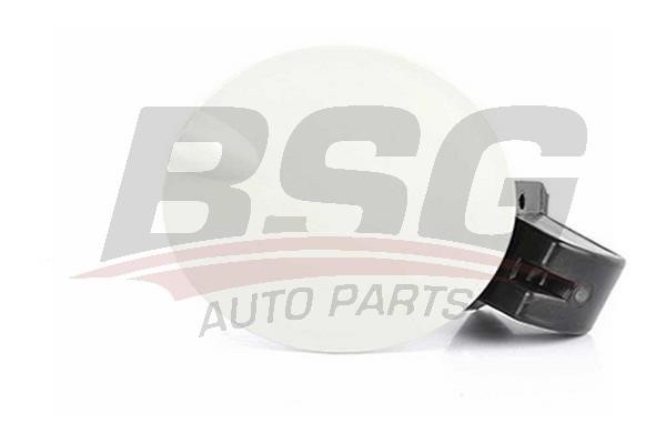 BSG 65-971-005 Fuel Door Assembly 65971005