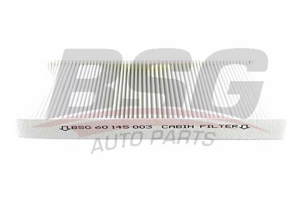 BSG 60-145-003 Filter, interior air 60145003