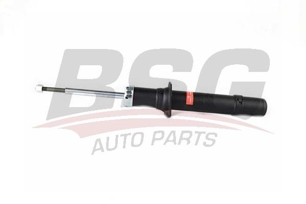 BSG 40-300-042 Front oil and gas suspension shock absorber 40300042