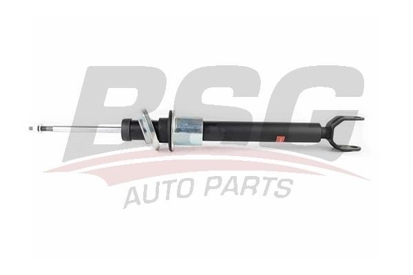 BSG 60-300-055 Front oil and gas suspension shock absorber 60300055
