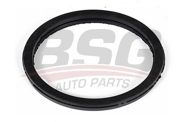 BSG 30-116-079 Termostat gasket 30116079