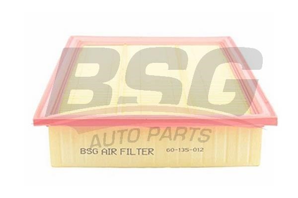 BSG 60-135-012 Air filter 60135012