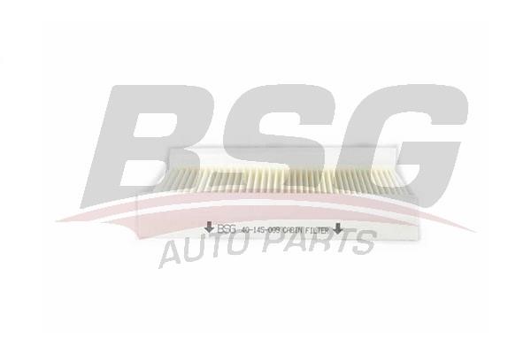 BSG 40-145-011 Filter, interior air 40145011