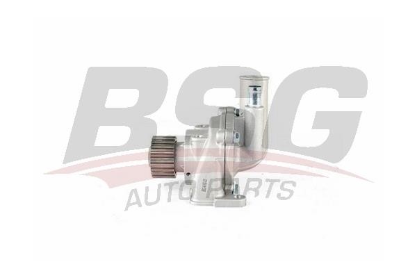 BSG 40-500-021 Water pump 40500021