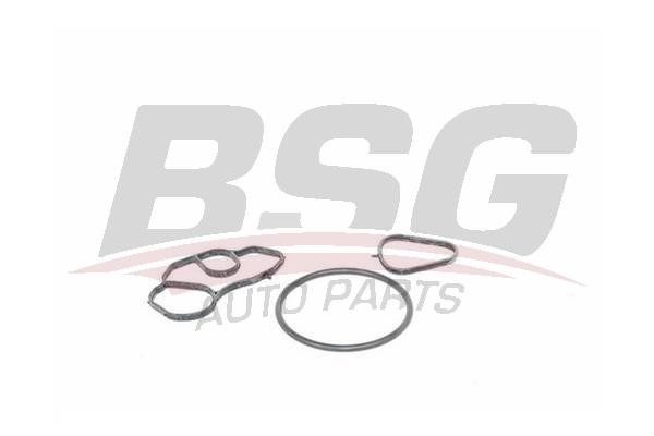 BSG 70-116-001 Seal, oil filter housing 70116001