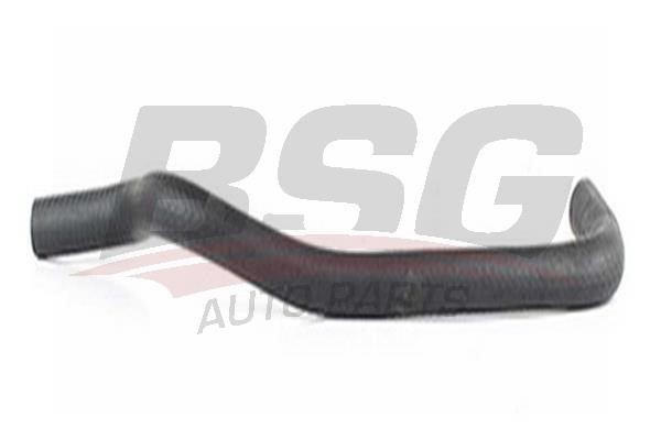 BSG 65-720-098 Heating hose 65720098
