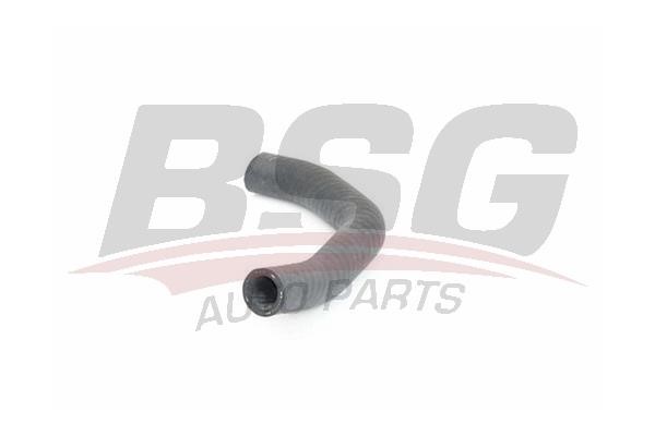 BSG 25-720-007 Pipe, EGR valve 25720007