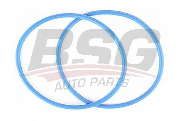 BSG 30-116-083 Thermostat cover 30116083
