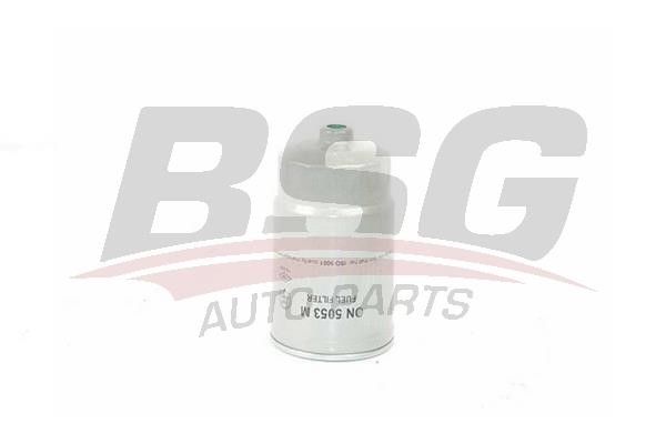 BSG 40-130-003 Fuel filter 40130003