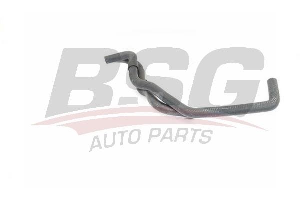 BSG 25-720-006 Hose, heat exchange heating 25720006