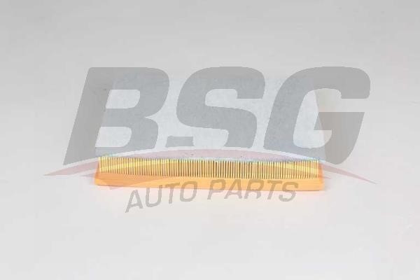 BSG 65-135-029 Air filter 65135029