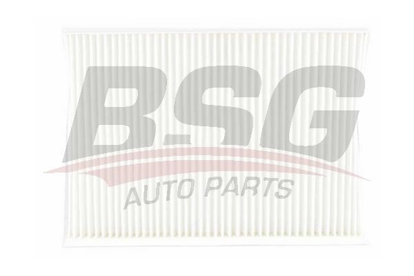 BSG 40-145-010 Filter, interior air 40145010