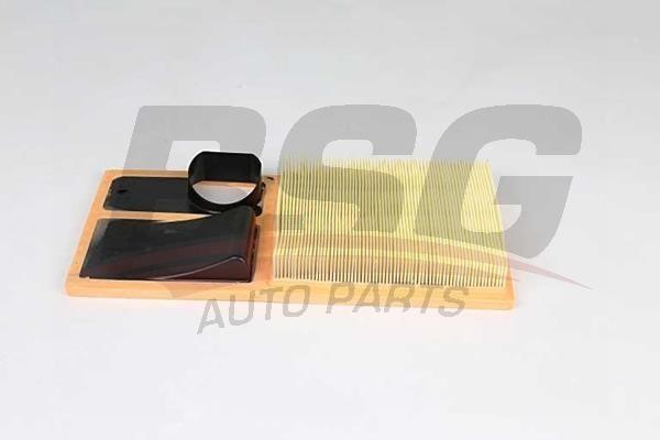 BSG 90-135-022 Air Filter 90135022