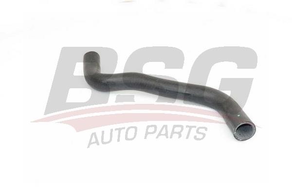 BSG 75-720-007 Radiator Hose 75720007