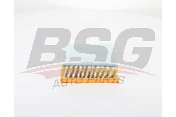 BSG 30-135-030 Air filter 30135030