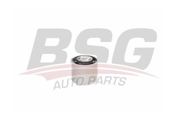 BSG 60-700-193 Mounting, differential 60700193