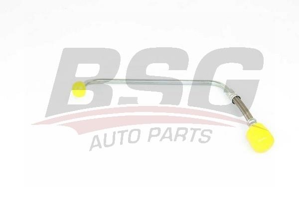 BSG 90-720-113 Oil Pipe, charger 90720113