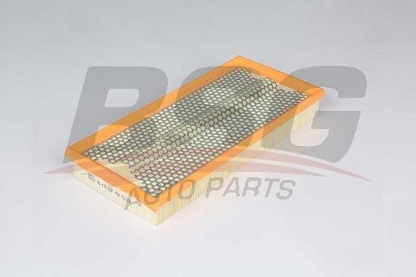 BSG 60-135-029 Air filter 60135029