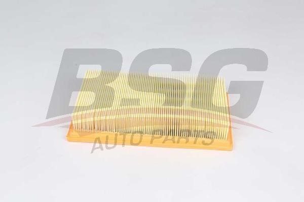 BSG 30-135-029 Air filter 30135029