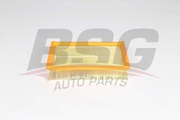 BSG 16-135-005 Air filter 16135005