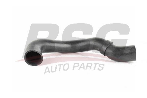 BSG 90-720-089 Intake hose 90720089