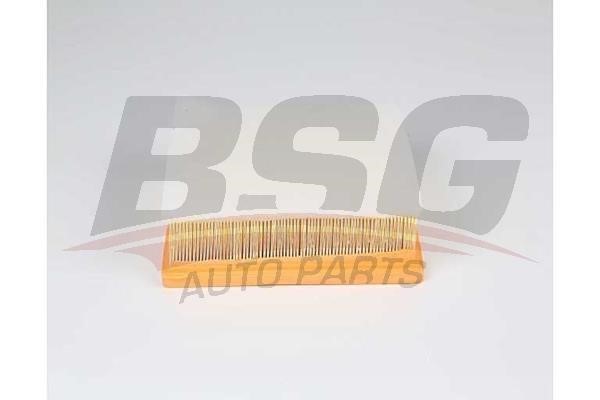 BSG 15-135-017 Air filter 15135017