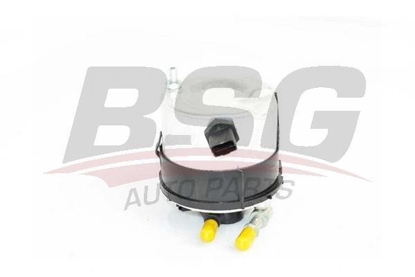 BSG 30-130-015 Fuel filter 30130015