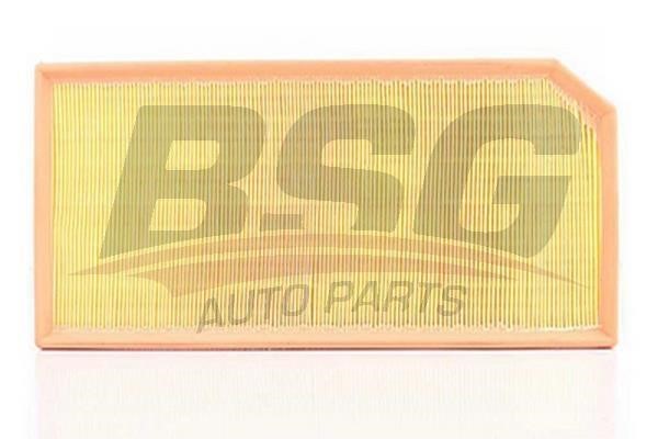 BSG 90-135-015 Air filter 90135015