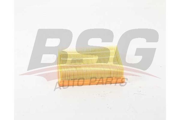 BSG 15-135-018 Air filter 15135018