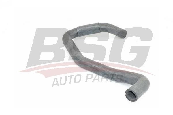 BSG 75-720-011 Radiator Hose 75720011