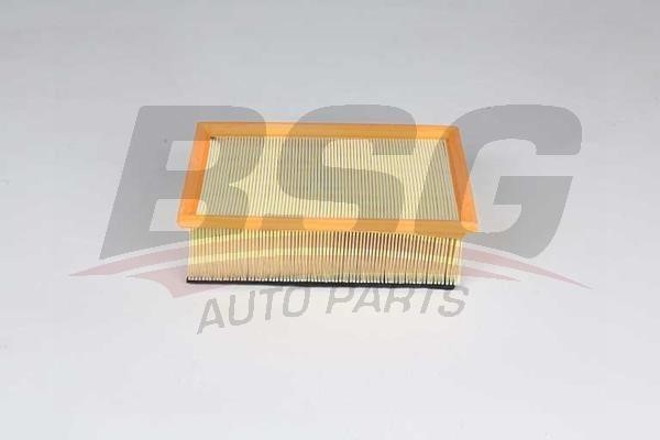 BSG 70-135-022 Air filter 70135022