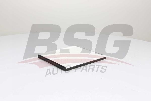 BSG 16-145-002 Filter, interior air 16145002