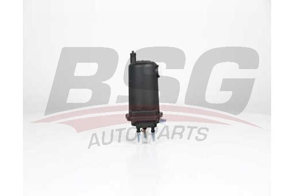 BSG 75-130-014 Fuel filter 75130014